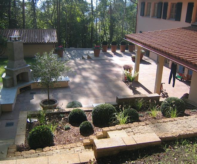 Hoffmeister Kraut 8081